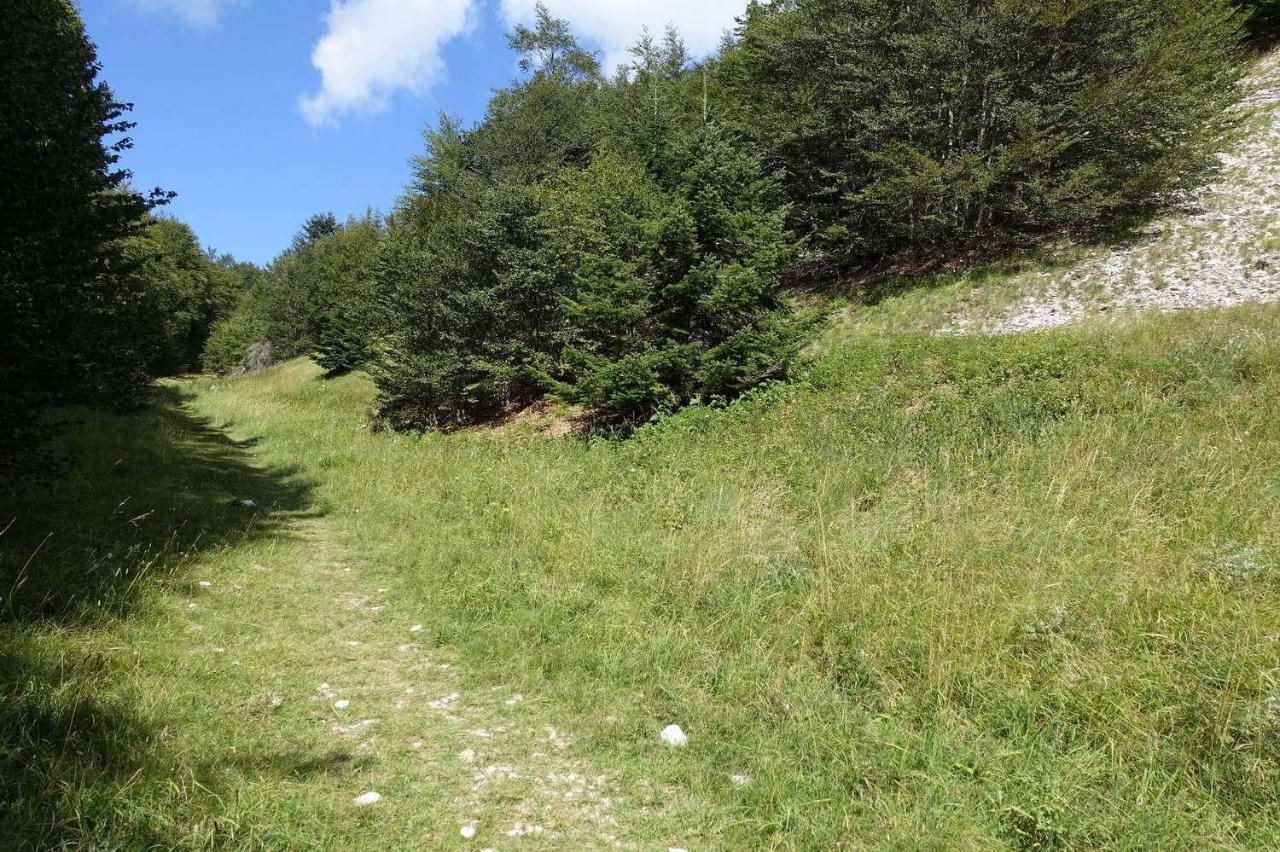 Petit Studio Atypique Et Cosy En Provence Saint-Étienne-les-Orgues Exteriör bild
