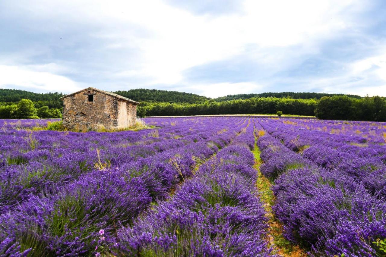 Petit Studio Atypique Et Cosy En Provence Saint-Étienne-les-Orgues Exteriör bild